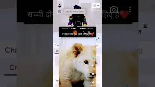 лев рррр