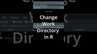 Manage Work directory in R