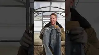 ЗОЛОТАЯ ЛИХОРАДКА НАШЕГО ВРЕМЕНИ 🔑 #рилс #маркетинг #продажи