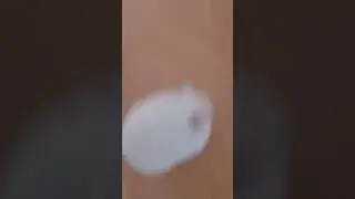 #врек #милота