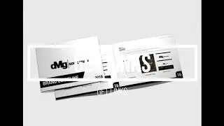 I will create brand style guide, brand guideline, brand book, brand guide, brand manual