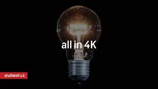 Footage in 4K | Shutterstock