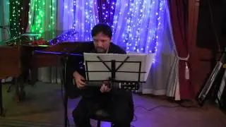 Владимир Селицкий - Выступления в особняке Носова