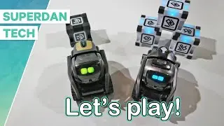 Cozmo and Vector robots | Playing together or side by side???