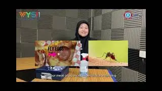 WYSII 2024|ZERO BUGS REPEL (ZBR)| SMK TUN HABAB,JOHOR,MALAYSIA