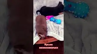 24 июня 2024 г.