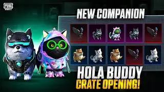 3.2 Update New Hola Buddy Crate Opening | Mechanoraptor Buddy set