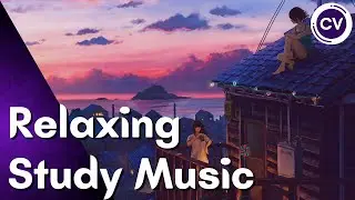 Relaxing Study Music | 1 Hour of The Best Acoustic Music to Study