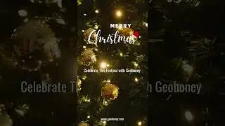 Wishing you a Merry Christmas. #christmas #christmastree #christmasvibes #geohoney
