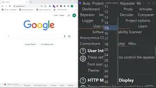 How to change font in Burp Suite