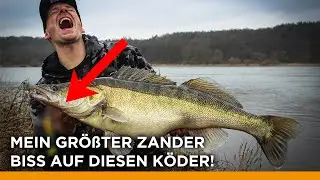 Mit DIESEM KÖDER fing ich meinen GRÖSSTEN ZANDER I Bester Zander Köder fürs Zanderangeln