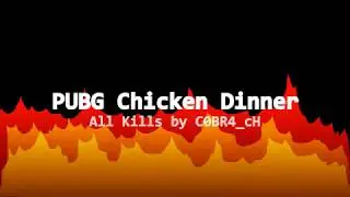 PUBG: Chicken Dinner - All Kills