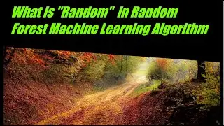 What is Random in Random Forest Machine Learning Algorithm