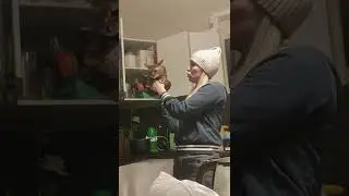 бенгальская виноватая