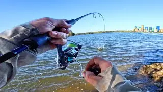 Fishing TWEED River Land Based With LURES! (Catch and Cook)
