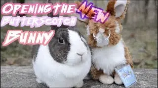 Opening The New March Webkinz ButterScotch Bunny