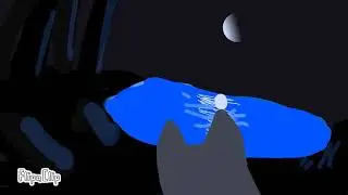 коты воители | лунное озеро | анимация