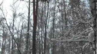 Футаж  Зимний день  Академгородок  Footage   000703