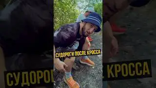 ЦЕНА ЗОЛОТА / У Садулаева судороги после кросса в гору