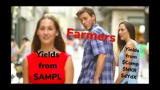 Why Ampleforth AMPL is the most controversial crypto in Defi. Dont sleep on XAMP & TOB!!!