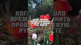 Мем смешной, ситуация страшная 😂 #гитарадлявсех #урокионлайн