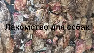Сушёное говяжье лёкгое для собак. Рецепт вкусного лакомства.