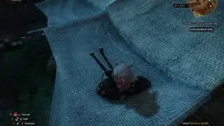 The Witcher 3 Funny glitch