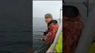 Дрожь в коленях от поклевки! #рыбалкавкарелии