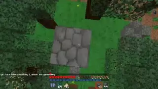 Live Minecraft