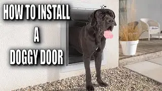 How To Install A Doggy Door In Your Wall