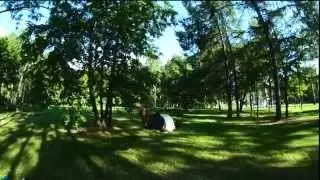 2 винта с места