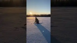 как подпишем?🤣