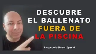 Un ballenato fuera de la piscina versión 2.0