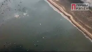 Замор рыбы в ОАО 