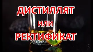 Дистиллят или ректификат
