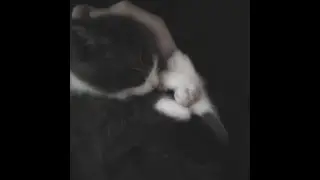 ttrrtr