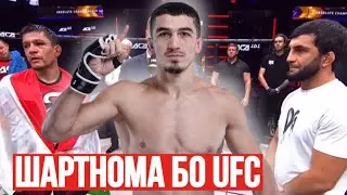 Самандар Муродов рох ба UFC / Азам Гафоров зидди Курбан Гаджиев
