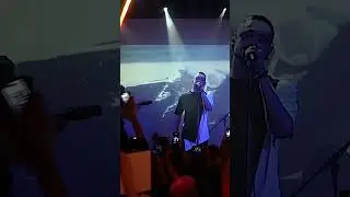 Дима Корсо - Дельфины тонут голыми #димакорсо