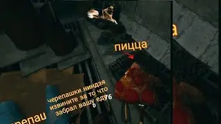 извините черепашки ниндзя Arizona sunshine ll 6 серия