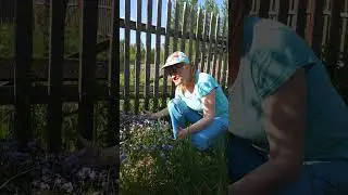 Ради этого стоит ехать в  деревню.....