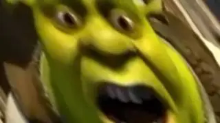 Shrek Is Angry!!!