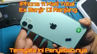 iPhone 11 Mati Total ex Banjir di Ranjang  @laeku @hotmanparisofficial @ketumpbb