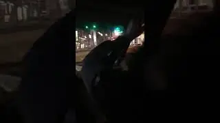 Tartus Gorilla hirmutab inimesi.