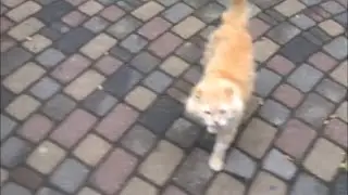 ОСЕНЬ В АНАПЕ!