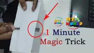 1 Minute Magic Trick | EASY MAGIC TRICKS WITH SPOONS