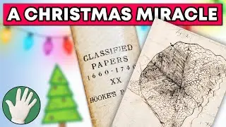 A Christmas Miracle (by our cameraman) - Objectivity 282