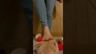TEDDY BEAR CRUSH 🦶 | ASMR & CRUSHING
