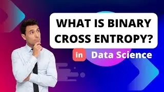 What is Binary Cross Entropy? Calculate it for a Classification problem.