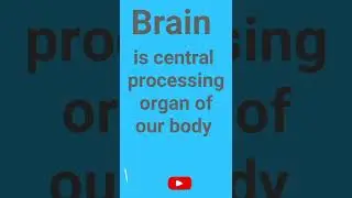 CNS #central neoural system  #Brain #Parts of brain #Biology #Neet #study  #major parts of Brain