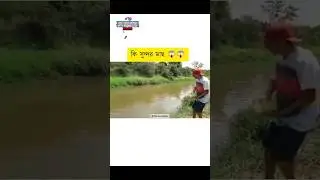इतनी सारी मछली 😱😱😱 #shorts